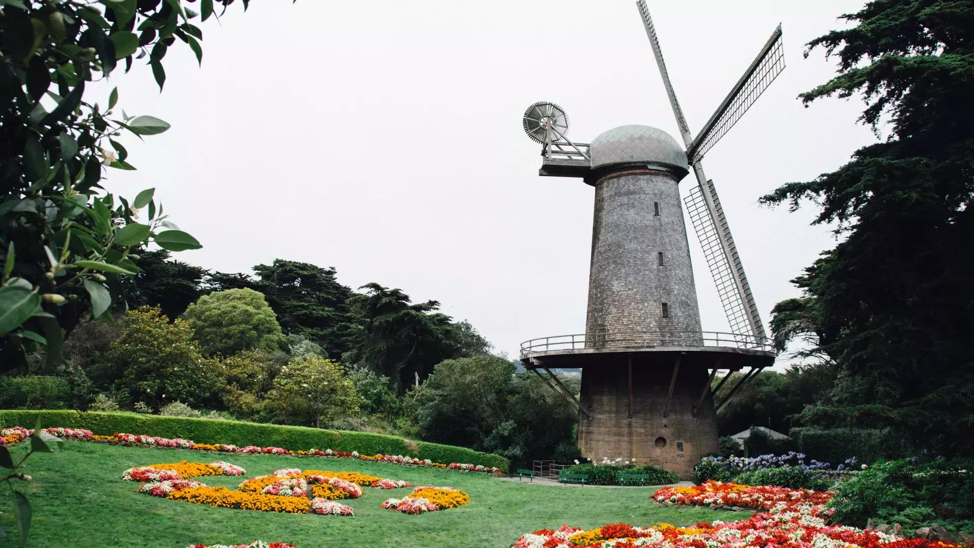 Dutch Windmill in Golden Gate Park